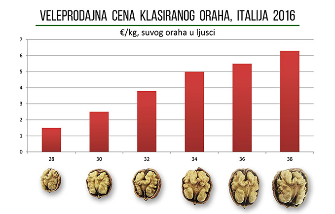 kakoizabrati37.jpg